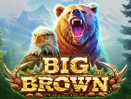 Big Brown game cover