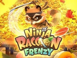 Ninja Raccoon Frenzy game cover