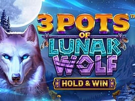 3 POTS OF LUNAR WOLF HOLD AND WIN game cover