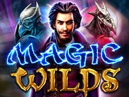Magic wilds game cover
